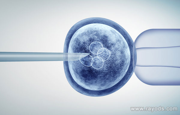 上海助孕有什么条件嘛?做试管成功率泰国医院