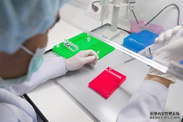 乌克兰三代试管技术费用概览，大概由两部分组成