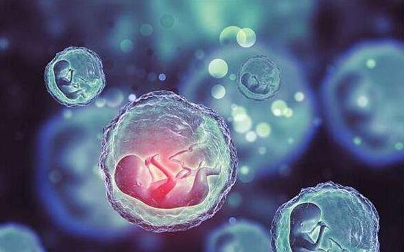 上海九院做试管婴儿怎么样？试管成功率高不高？