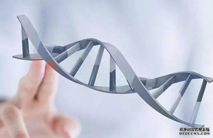 2023三代试管生男生女费用介绍，及影响成功率的因素