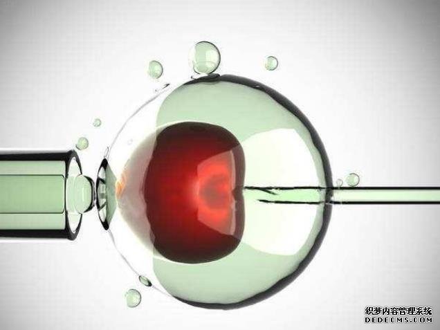 准确率100的生男生女公式是怎么样的？_11373