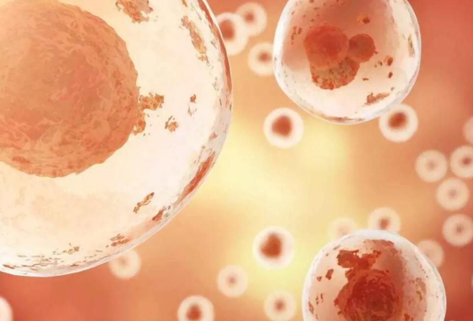 湖北省医院排名2022最新排名 湖北能做供卵试管婴儿的医院有几家 ‘9个怀女孩征兆’