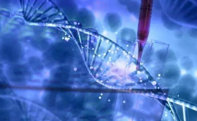 福州hiv代孕 福州三代试管哪里可以做? ‘女孩男孩四维彩超区别’