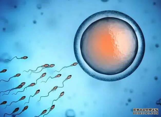 跨度网国际医疗合法吗_幸福家助孕_沈阳做试管婴儿医院哪家好？全部费用大概是多少？