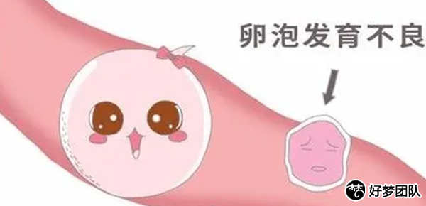 助孕试管,试管助孕网