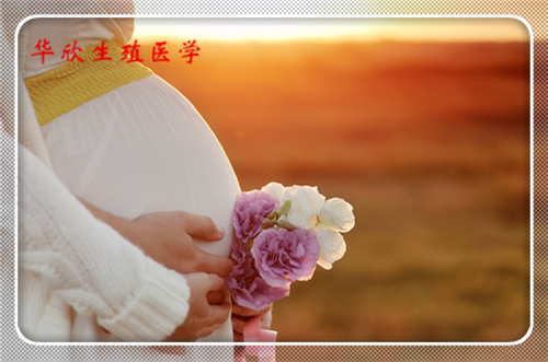 代孕试管,代怀试管