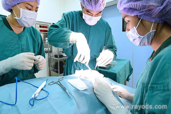 服务好口碑好的助孕,上海集爱三代试管成功率