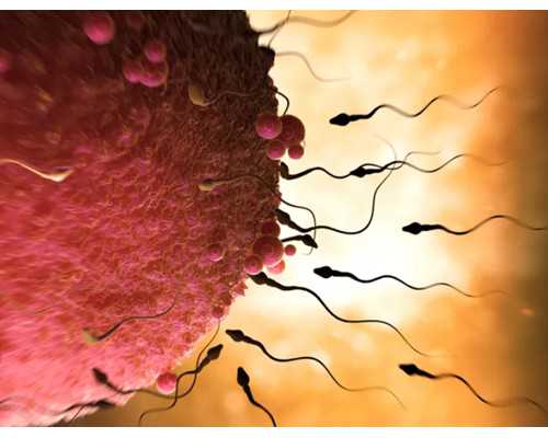 江门做试管婴儿，这几家医院可以看看