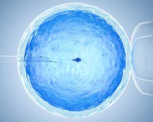 江苏试管婴儿医保能报多少？费用和比例都在这