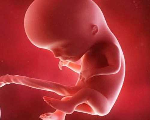 焦作做试管婴儿，这几家医院值得看看