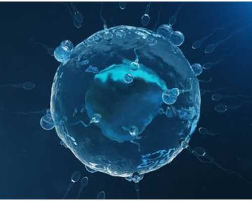 揭阳做试管婴儿有哪些项目？流程和医院都在这了