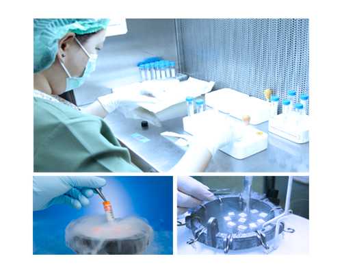 在成都做试管婴儿要花多少钱