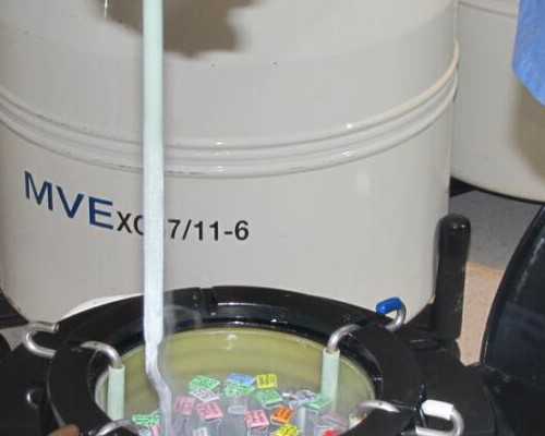 甘肃试管婴儿排名第一的私立医院靠谱吗？