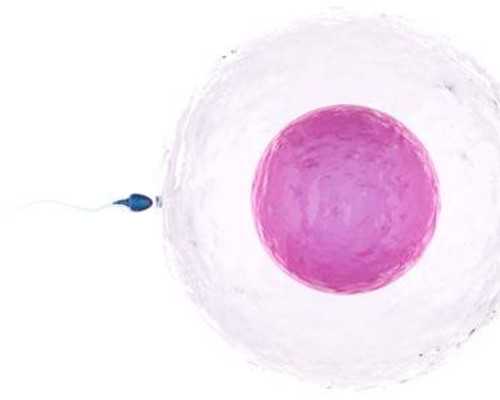 甘肃做试管婴儿，选哪家医院更合适