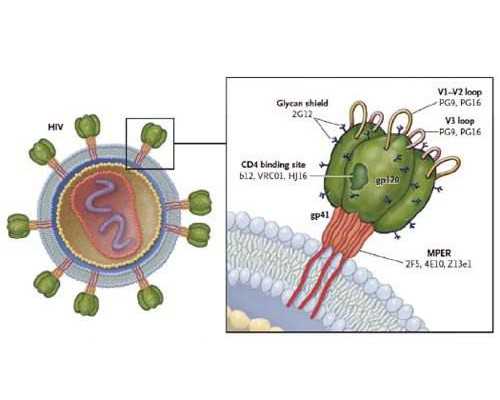 在赣州做试管婴儿要花多少钱？怎么省钱更划算