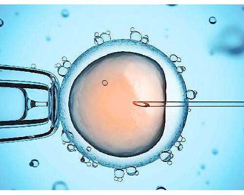 广州有哪些靠谱的助孕公司？