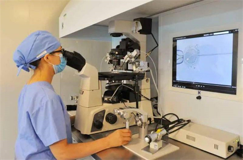 影响胚胎解冻成功率的隐藏因素，你了解几个？