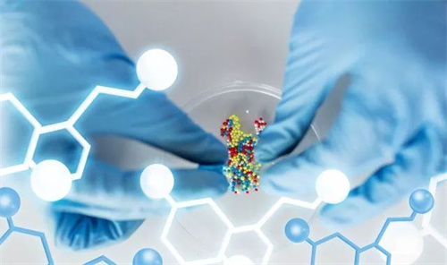 深度解析：贺美奇与果纳芬，区别究竟在哪里？