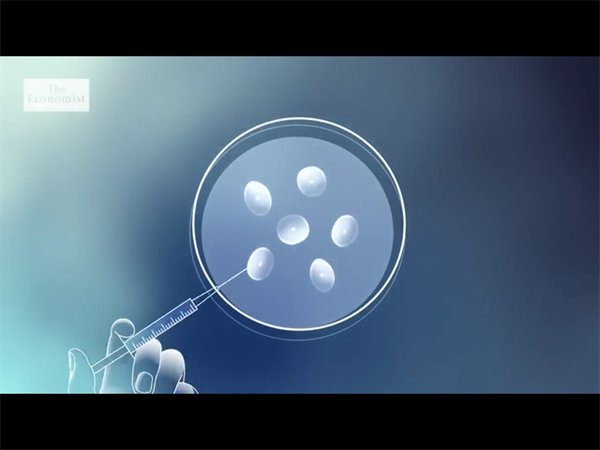 高龄试管如何一次成功？过来人的实用经验总结