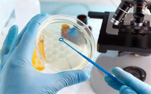 试管促排中LH值多少算正常？LH偏低对试管成功率有何影响