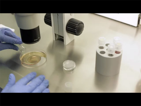 试管囊胚活检全知道：操作流程与必要性深度解析！