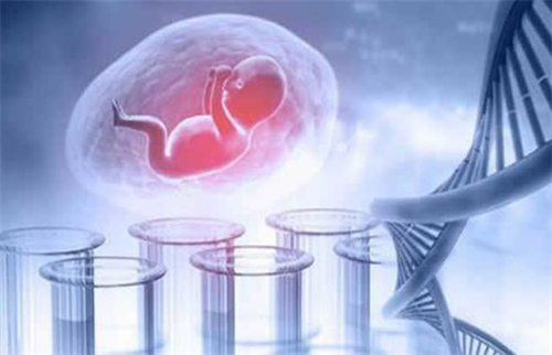 试管婴儿保胎，这些误区千万别踩！