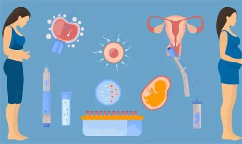 试管取卵10个，最终能养成几个囊胚？关键因素解析