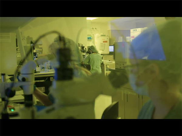 警惕！这些疾病可能降低你的试管婴儿妊娠率