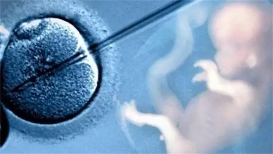 胎停后重启试管，这些关键点助你顺利好孕！