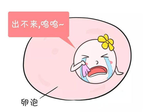 高龄试管成功率为何偏低？关键影响因素解析