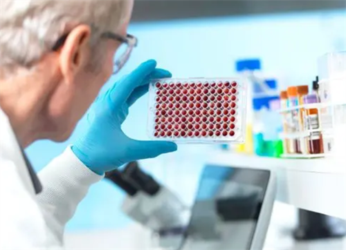 反复不着床困扰试管家庭？这些解决方案助你成功好孕