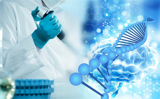 试管鲜胚移植有禁忌，这些情况你可能需要暂缓！