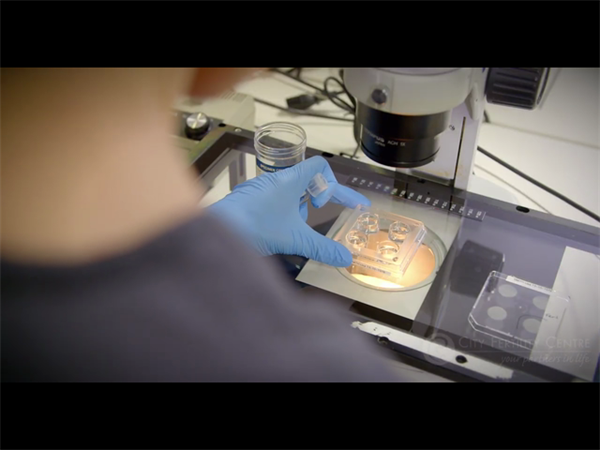 试管婴儿不是无痛选择！女性在求子过程中到底有多遭罪