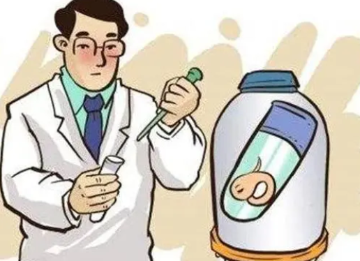 鲜胚vs冻胚，哪个成功率更高？试管移植前必看的优劣势全解析
