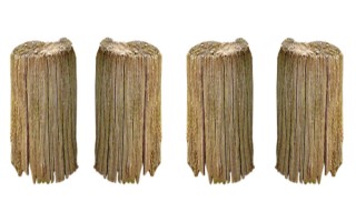 卵泡穿刺加人工授精成功率是多少？成功率高吗？