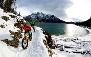 靶向药阿达格拉西布基因检测需要哪些东西