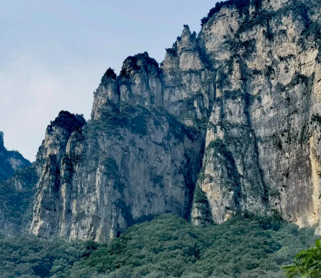 试管婴儿囊胚质量等级及其影响因素分析：鲜囊胚与冻囊胚的着床速度对比研究