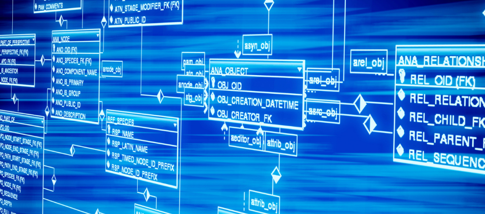 儿童智商基因检测费用大约多少钱？这些你需要知道！